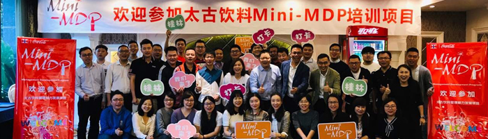 Mini-MDP