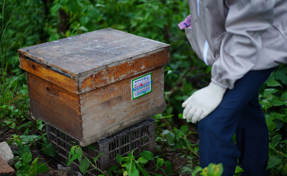 This beehive was installed at the Carbon Reduction Farmland.